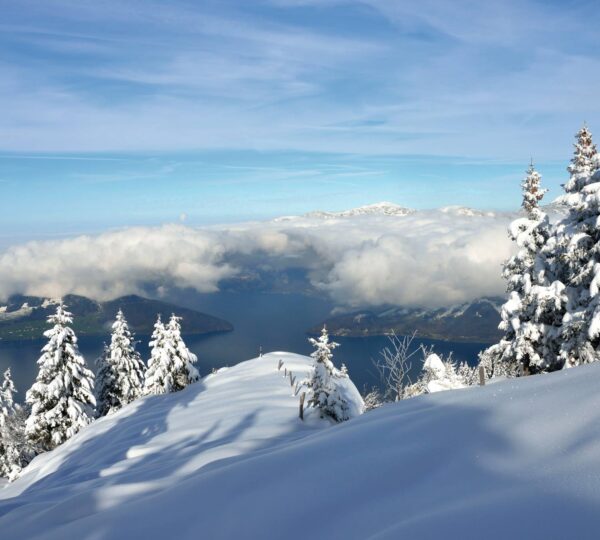 Zurich evening skyline